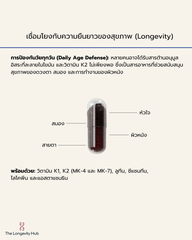 Advanced Antioxidants