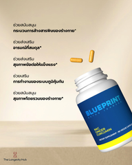 NAC + Ginger + Curcumin