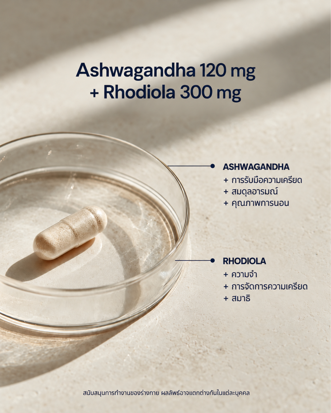 Ashwagandha + Rhodiola