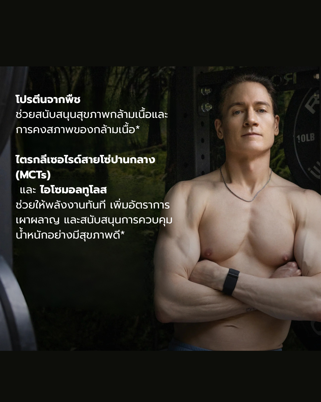 Metabolic Protein