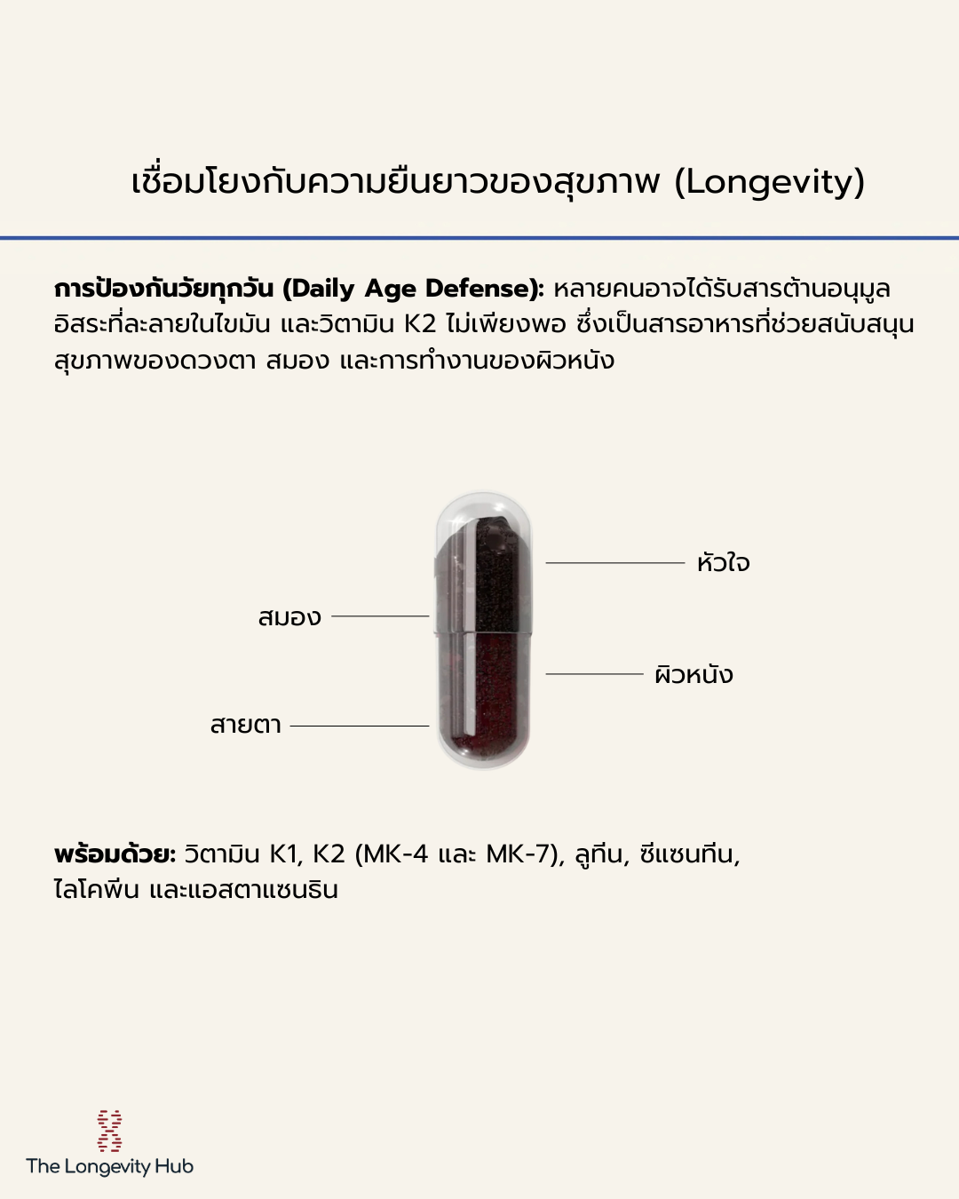 Advanced Antioxidants